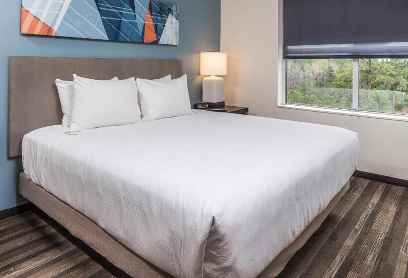 带大床的套房, Hyatt House Raleigh/rdu/brier Creek