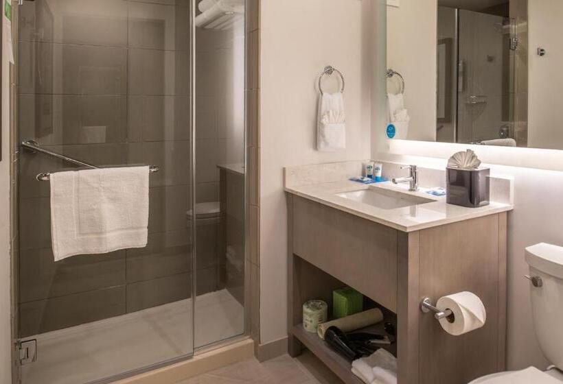 套房, Hyatt House Raleigh/rdu/brier Creek