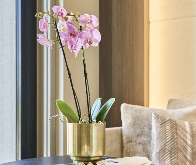 اتاق پریمیوم سه تخته, Vp Plaza Espana Design