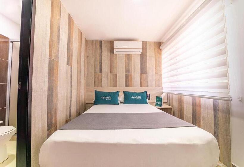 Quarto Estandar Individual, Ayenda Ruta 65