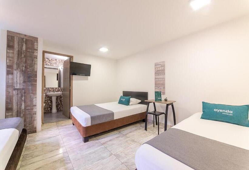 Quarto Triplo Estandar, Ayenda Ruta 65