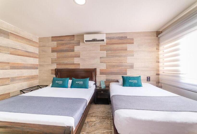 Quarto Triplo Estandar, Ayenda Ruta 65