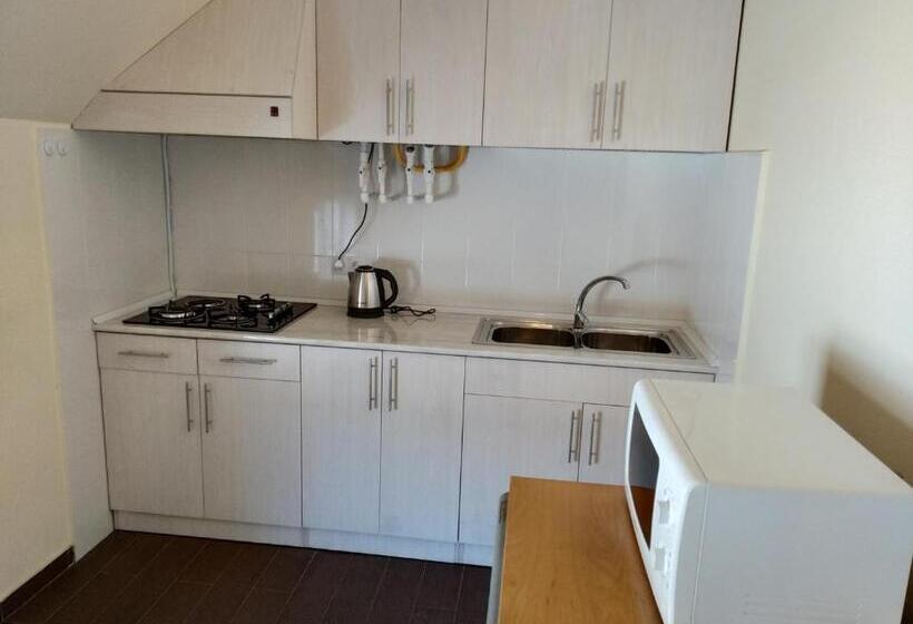 آپارتمان 1 خوابه, Downtown B&b