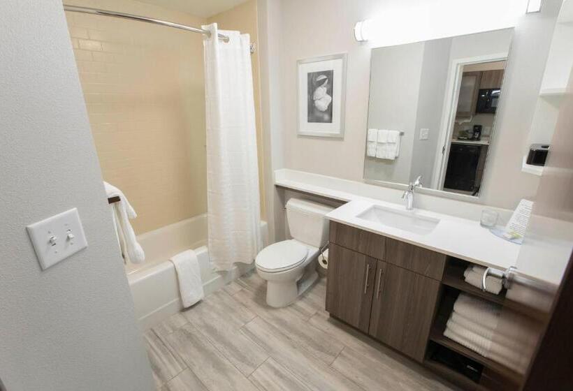 スタンダードスタジオ, Candlewood Suites Mcdonough, An Ihg