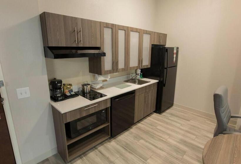 キングサイドベッドのスタンダードワンルーム, Candlewood Suites Mcdonough, An Ihg
