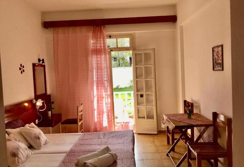 Номер Стандарт, Dionysos Studios