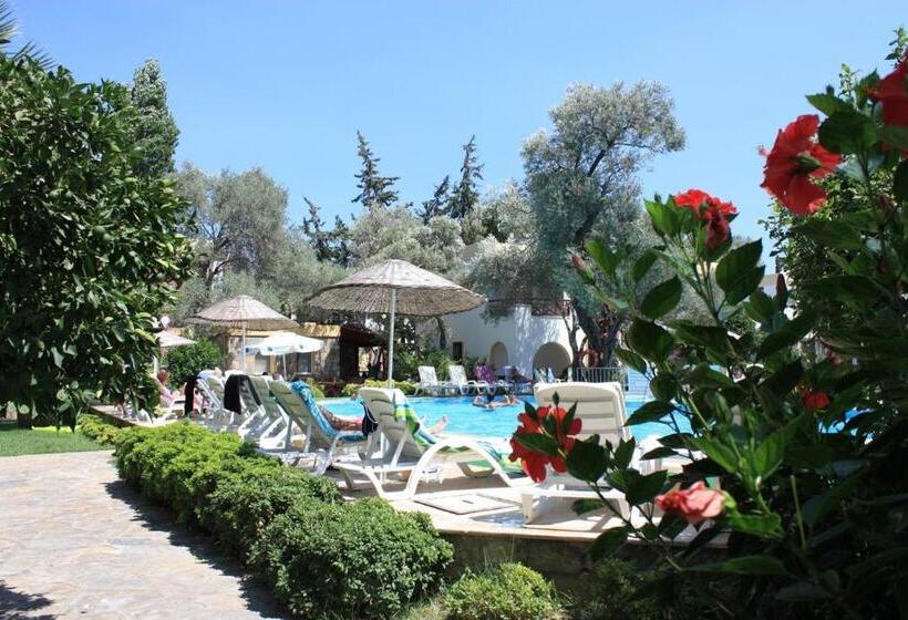Апартаменты 1 Спальня, Toloman Bitezpark Apartments