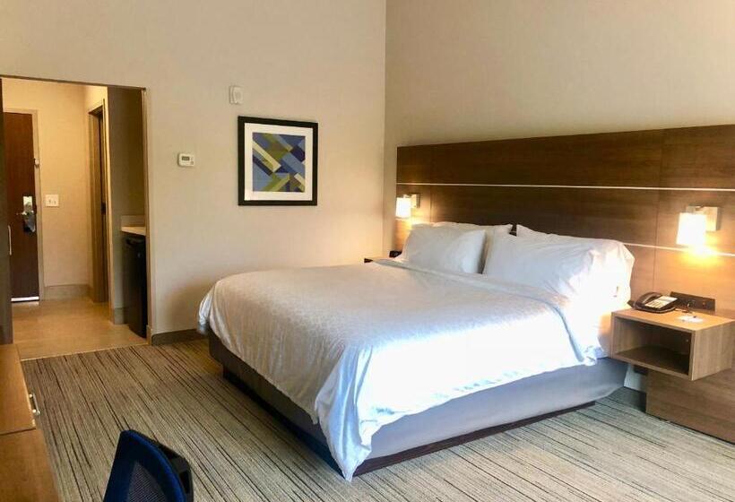 Номер Стандарт Кровать Кинг Адаптированный для Инвалидов, Holiday Inn Express   Macon North, An Ihg