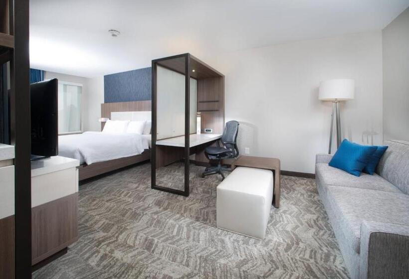 Люкс Кровать Кинг, Springhill Suites By Marriott Fayetteville Fort Liberty