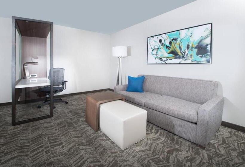 Люкс, Springhill Suites By Marriott Fayetteville Fort Liberty
