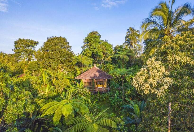 Вилла 1 Спальня Вид на Сад, Sarinbuana Eco Lodge