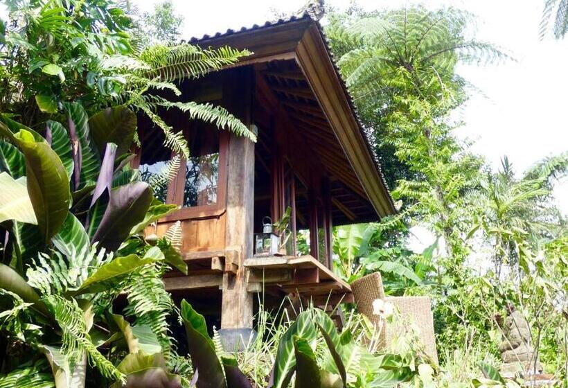 이코노미 룸, Sarinbuana Eco Lodge