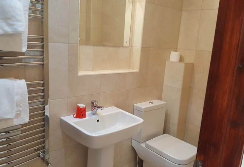 Номер Стандарт Трехместный, Airport Guest House
