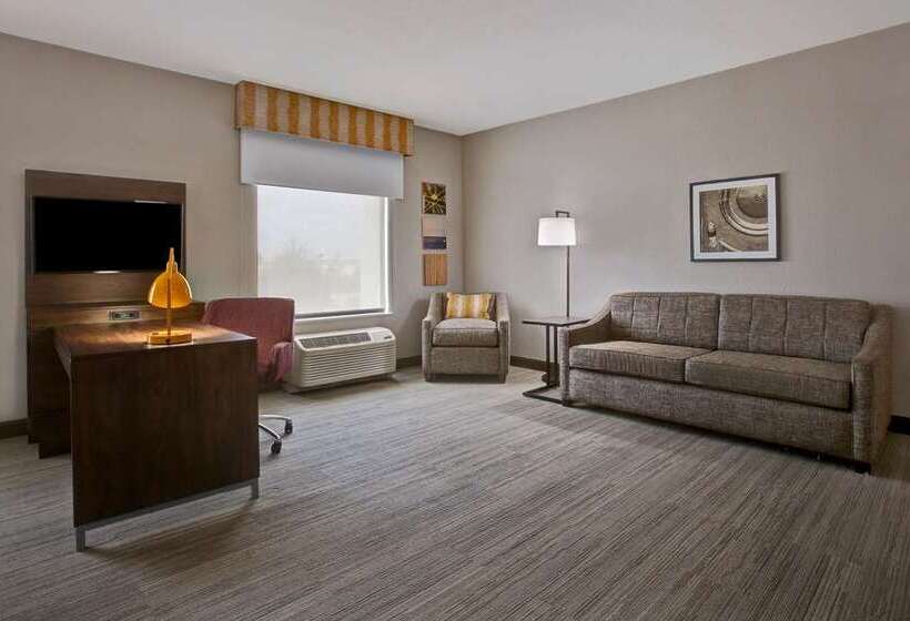 带大床的套房, Hampton Inn & Suites Reno/sparks