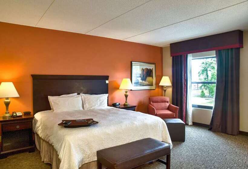 带大床的套房, Hampton Inn & Suites Reno/sparks