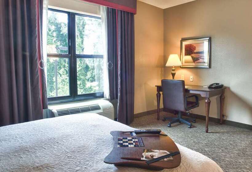 带大床的套房, Hampton Inn & Suites Reno/sparks