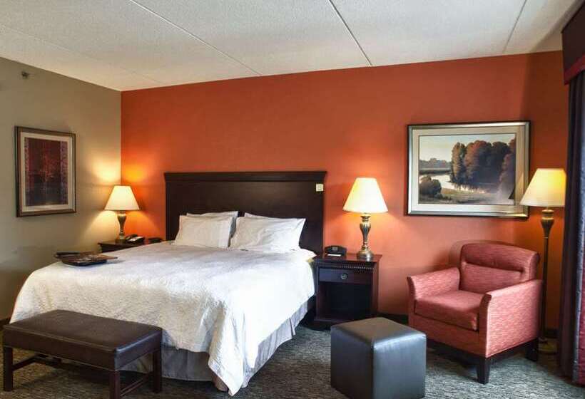 带大床的套房, Hampton Inn & Suites Reno/sparks