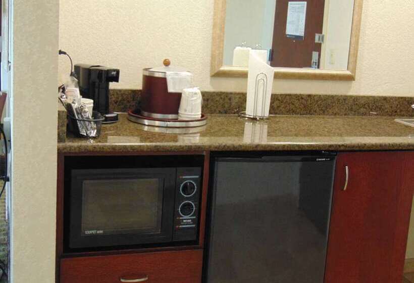 带大床的套房, Hampton Inn & Suites Reno/sparks