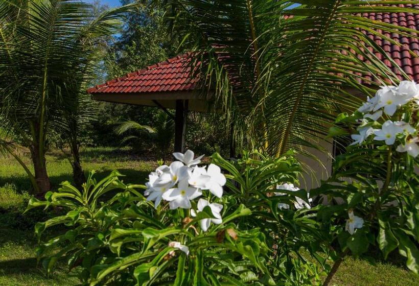 이코노미 방갈로, Pranee Beach Bungalows