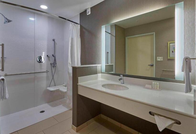 스탠다드 룸 킹사이즈 침대, Fairfield Inn & Suites By Marriott Grand Mound Centralia