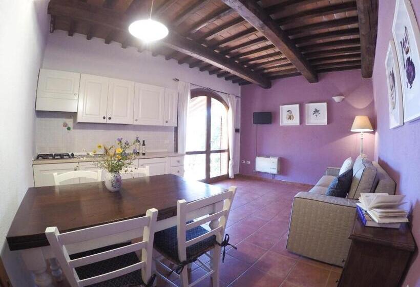 Апартаменты 1 Спальня с Террасой, Agriturismo Boschi Di Montecalvi
