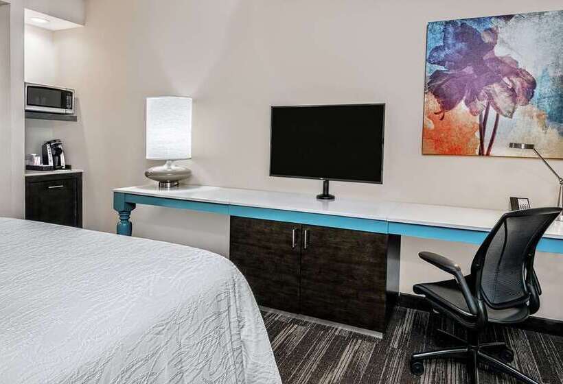 스탠다드 룸 킹사이즈 침대, Hilton Garden Inn Tampa Wesley Chapel, Fl