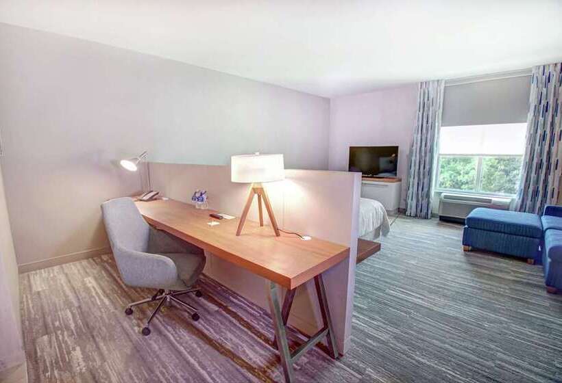 스탠다드 룸 킹사이즈 침대, Hilton Garden Inn Tampa Wesley Chapel, Fl