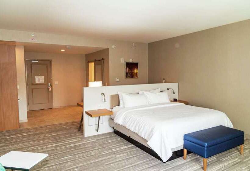 Стандартный Номер Кровать Кинг, Hilton Garden Inn Tampa Wesley Chapel, Fl