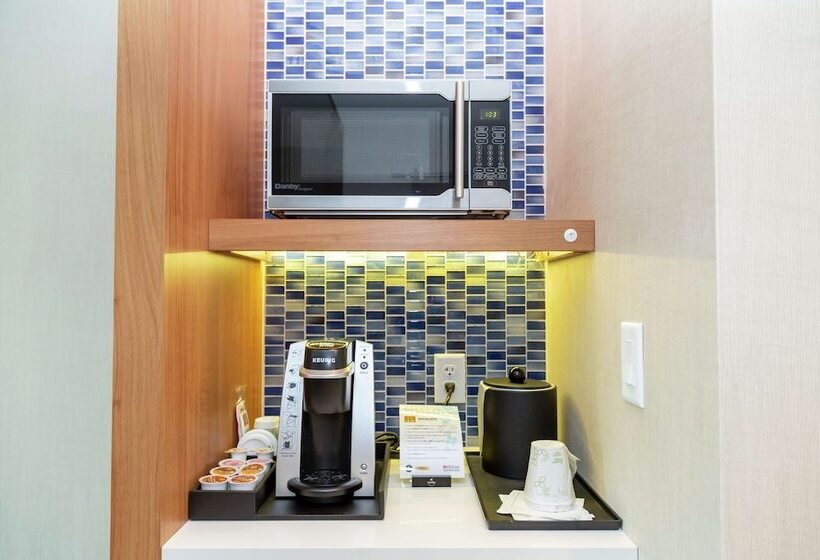 Номер Премиум, Hilton Garden Inn Tampa Wesley Chapel, Fl