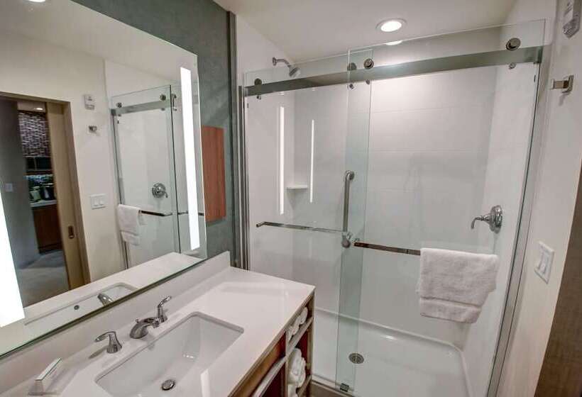 Номер Deluxe, Hilton Garden Inn Tampa Wesley Chapel, Fl