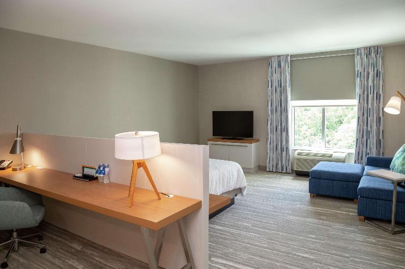 프리미엄 룸, Hilton Garden Inn Tampa Wesley Chapel, Fl
