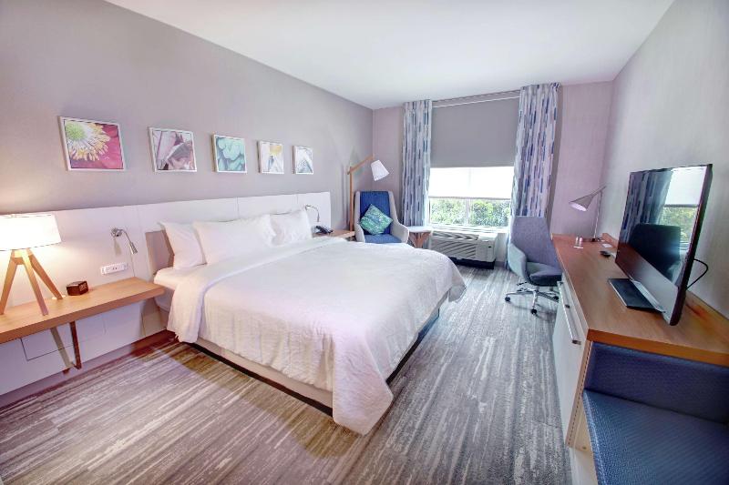 스탠다드 룸 킹사이즈 침대, Hilton Garden Inn Tampa Wesley Chapel, Fl