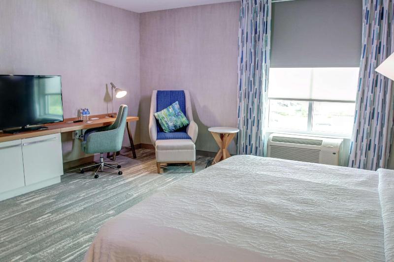 Стандартный Номер Кровать Кинг, Hilton Garden Inn Tampa Wesley Chapel, Fl