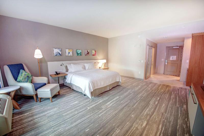 스탠다드 룸 킹사이즈 침대, Hilton Garden Inn Tampa Wesley Chapel, Fl