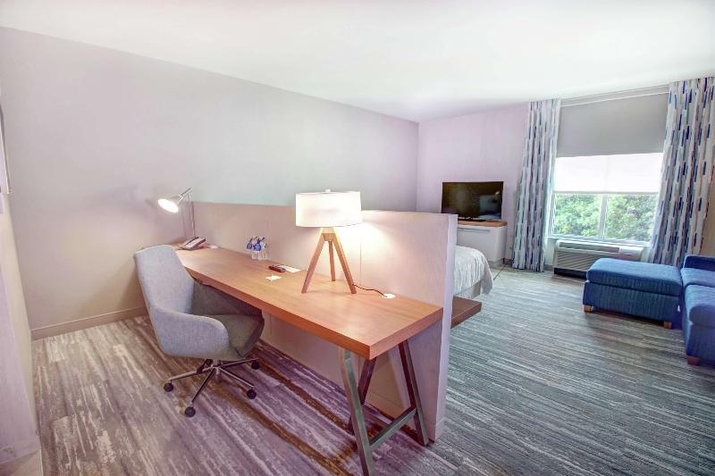 Стандартный Номер Кровать Кинг, Hilton Garden Inn Tampa Wesley Chapel, Fl