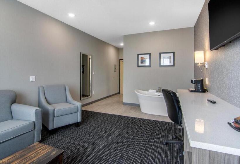 高级套房, Comfort Inn & Suites