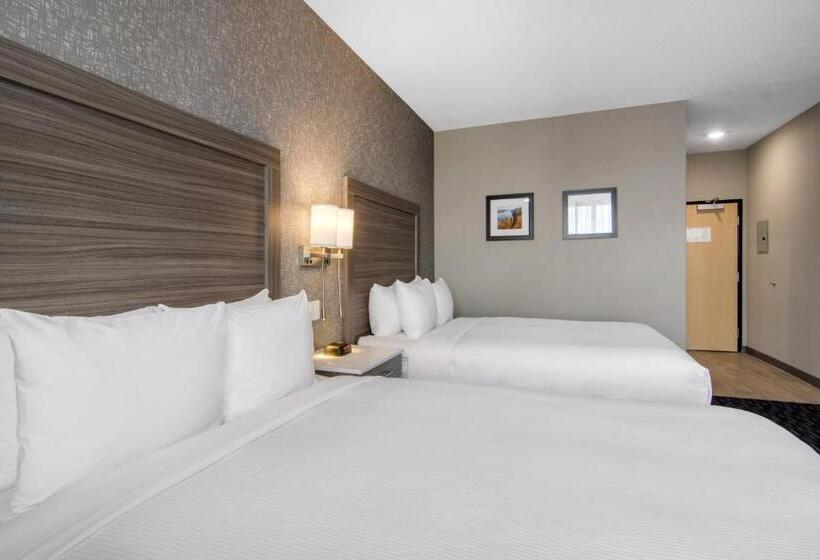 标准间, Comfort Inn & Suites