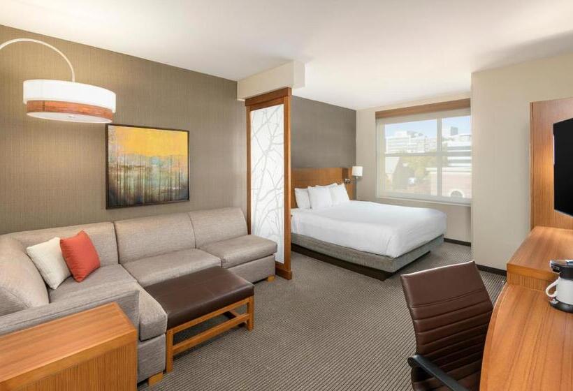 스탠다드 룸 킹사이즈 침대, Hyatt Place Greenville/downtown