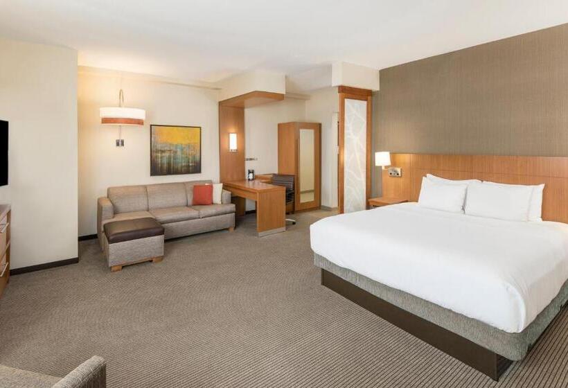 스탠다드 룸 킹사이즈 침대, Hyatt Place Greenville/downtown