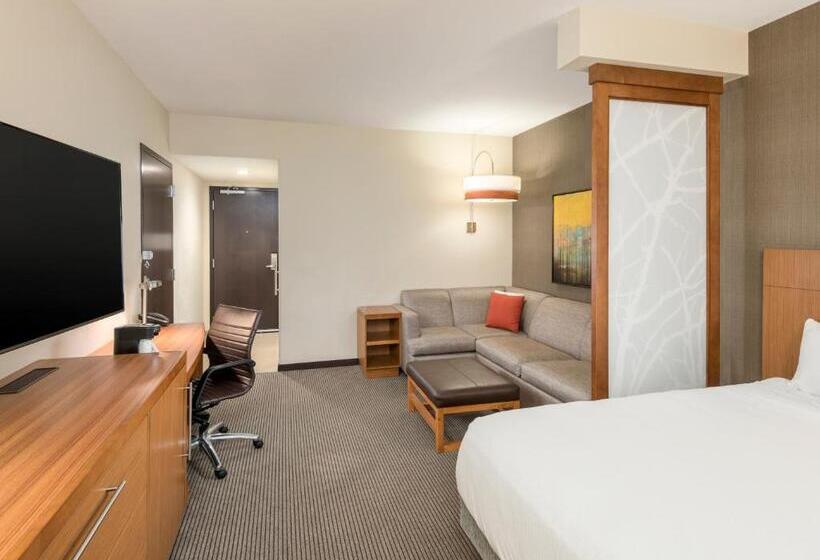 장애인을 위한 스탠다드 룸, Hyatt Place Greenville/downtown