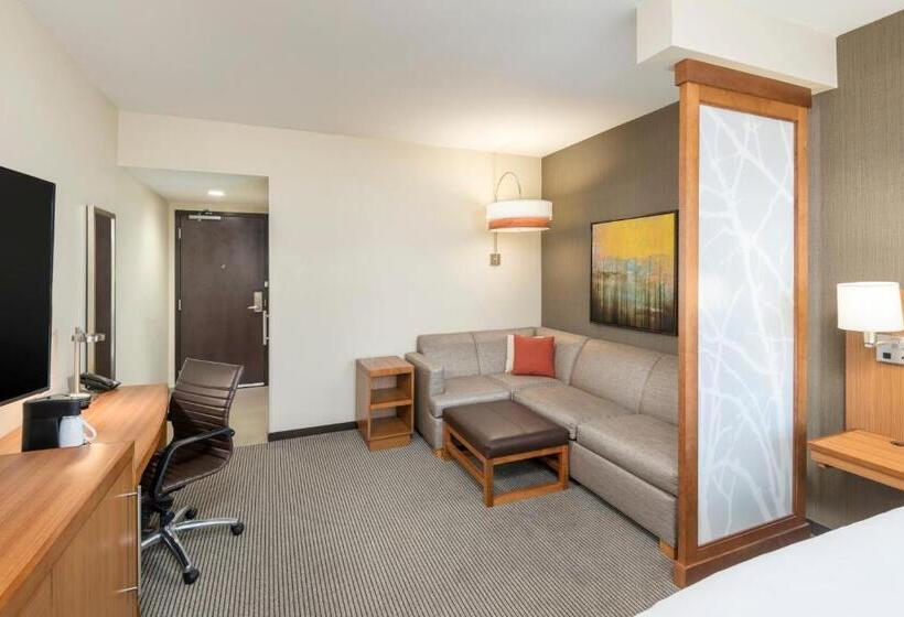 Люкс Адаптированный для Инвалидов, Hyatt Place Greenville/downtown