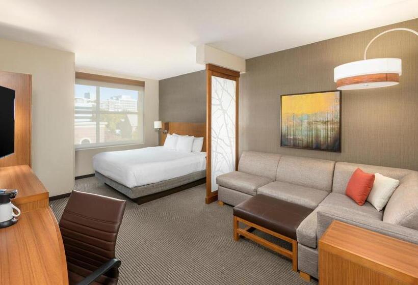 장애인을 위한 스위트, Hyatt Place Greenville/downtown