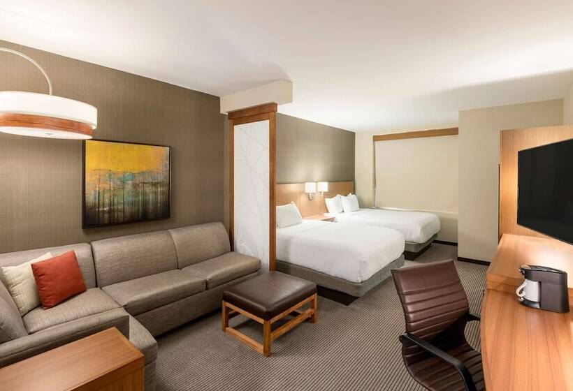 스탠다드 룸 수피리어 층, Hyatt Place Greenville/downtown