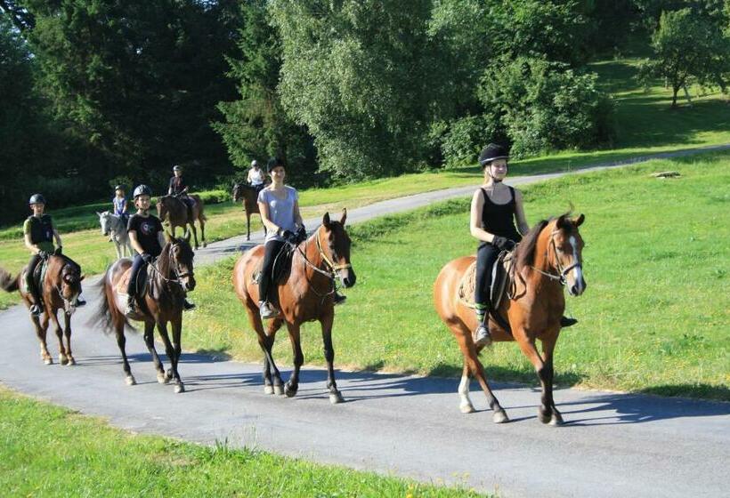 Номер Стандарт, Sportpension Ramlhof