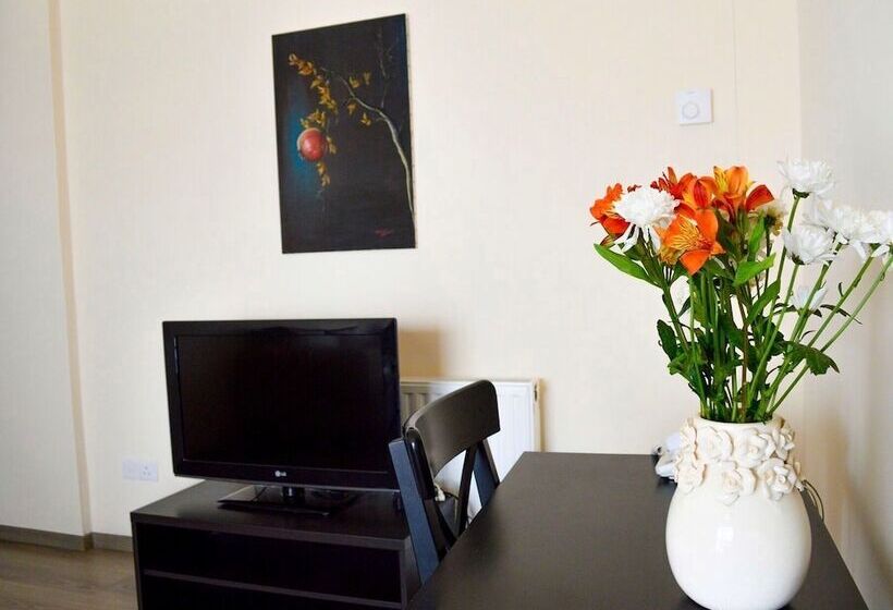 آپارتمان سوپریور 2 خوابه, Lordos Hotel Apartments Nicosia
