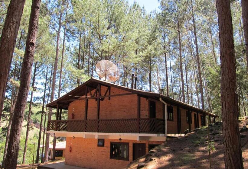 דירת חדר, Parque Da Cachoeira