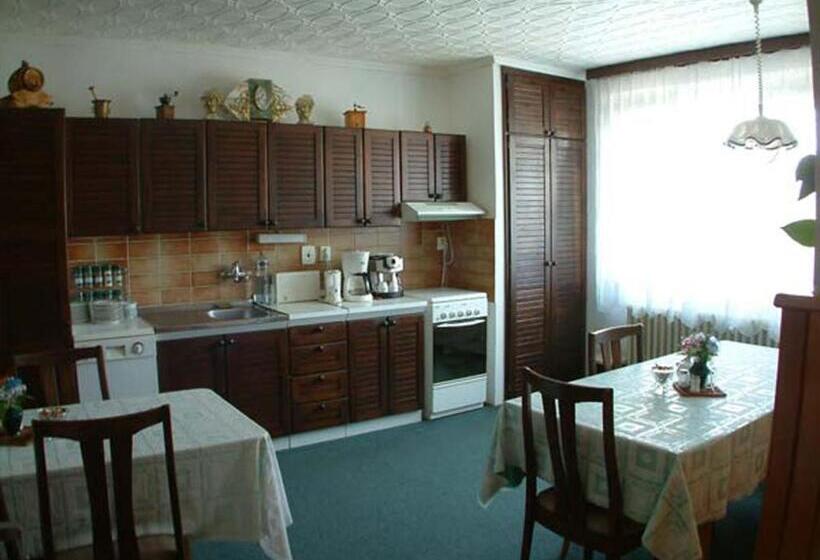 Quarto Estandar com Terraço, Pension Villa Hany