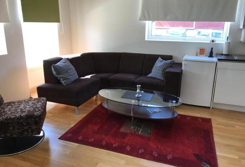Апартаменты 1 Спальня, Parken Terrasse Apartment