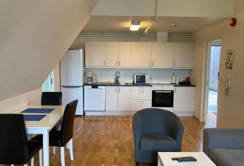 Апартаменты 1 Спальня, Parken Terrasse Apartment