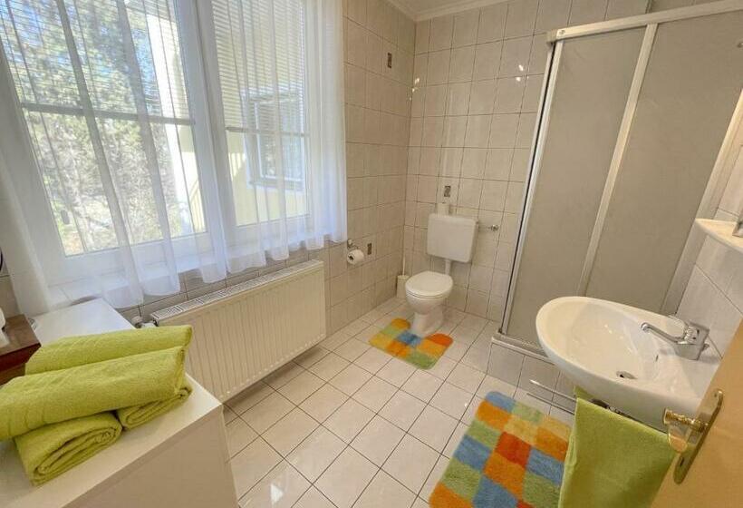 آپارتمان 1 خوابه با بالکن, Gästehaus Gertrude